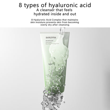 HEARTLEAF QUERCETINOL PORE DEEP CLEANSING FOAM